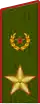 Shoulder strap of an Army General
