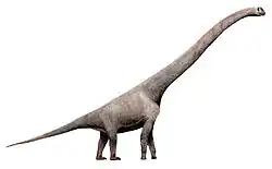 Sauroposeidon proteles