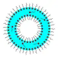 Foam bubbles: a "soap bubble"