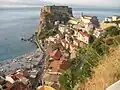 Scilla