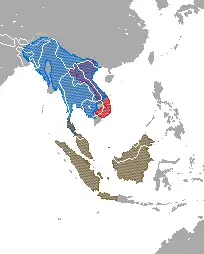 Range map showing ranges of several species: the Sunda slow loris complex (N. coucang) in Thailand, Malaysia, and Indonesia; the Bengal slow loris (N. bengalensis) in east India, China, Bangladesh, Bhutan, Burma, Thailand, Laos, Vietnam, and Cambodia; and the pygmy slow loris (X. pygmaeus) in Vietnam and Laos.
