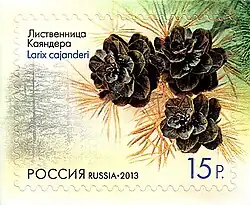 Russian 15 rouble stamp, 2013, Larix cajanderi