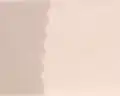 "White" No. 70001