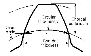 Tooth thickness