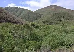 Montaña de Oro