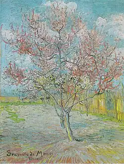 A watercolour of two pink peach trees in a blossoming orchard of trees near a wooden fence under a bright blue sky