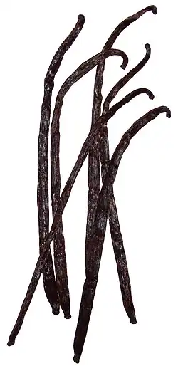 Vanilla "beans" used as a spice