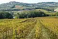 Hill in Abruzzo, Italy