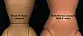 Barbie's waist has been widened in more recent versions of the doll.