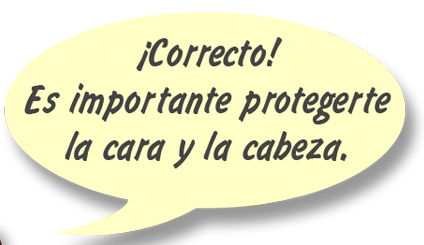 RAY: ¡Correcto! Es importante protegerte la cara y la cabeza.