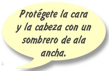 RAY: Protégete la cara y la cabeza con un sombrero de ala ancha.