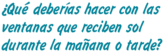 RAY: ¿Qué deberías hacer con las ventanas que reciben sol durante la mañana o tarde? 