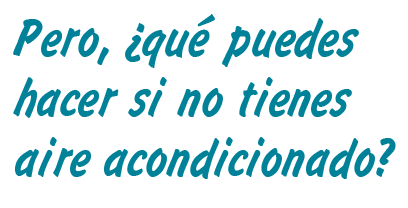 Pero, ¿qué puedes hacer si no tienes aire acondicionado? 