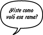 PIE DE IMAGEN: ¡¡¡CRASH!!! SONNY: ¿Viste como voló esa rama?