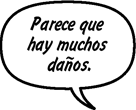 PADRE DE SONNY: Parece que hay muchos daños.