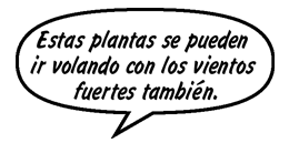PADRE DE SONNY: Estas plantas se pueden ir volando con los vientos fuertes también.