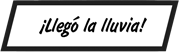 PIE DE IMAGEN: ¡Llegó la lluvia!