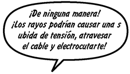 RAINA: ¡De ninguna manera! ¡Los rayos podrían causar una subida de tensión, atravesar el cable y electrocutarte! 