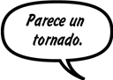 RAINA: Parece un tornado.